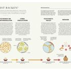 Überschrift: WAS IST BACKEN? 
Text folgt mit Erläuterungen zu chemischen Prozessen beim Backen. Diagramme und Illustrationen ergänzen die Abschnitte.
