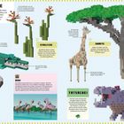 "Pflanzen und Tiere." Text zu Nilkrokodil, Giraffe, Strelitzie, Schirmakazie, Zwergflamingo und Flusspferd, mit Beschreibungen.