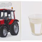 Links: "das Stroh" vor grünem Hintergrund, ein Heuballen. Rechts: "die Gans", eine Gans steht auf einer blauen Fläche.