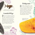 Text: Leedsichthys, Cretapsara, Besondere Entdeckung. Beschreibung von Fisch- und Krabbenfossilien mit Illustrationen.