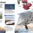 Eine Infoseite über Tau und Frost: Texte erklären Morgentau, Raureif, Eisblumen und Rauheis. Bilder von Pflanzen und gefrorenen Strukturen.