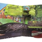 Fantastische Netzwerke: Farbenfrohe Illustration von Bäumen, Wurzeln und Tieren. Texte beschreiben Baumnetzwerke und deren Funktionen.