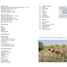 Linke Seite listet Inhalte wie "Buren", "Naturschutzgebiete", "Ameland aktiv", "Ameland erleben". Rechts ein Foto mit rotem Klatschmohn.