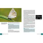 Textausschnitt "100 mm | f/7.1 | 1/4000 Sek. | ISO 200". Links ein Schmetterling auf einem grünen Blatt. Rechter Textabschnitt erklärt Kameraeinstellungen und Autofokus-Features.