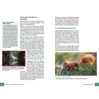 Hochformatvideos betrachten. Hochformat und Kurzfilme für Social Media. 3.2 Die Belichtung optimieren. Ein Eichhörnchen auf einem Ast. Links ein Vogel im Kamera-Display.