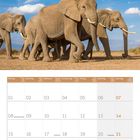 Kalenderseite für März 2027. Ein Elefantenherde läuft auf einer weiten Ebene unter einem blauen Himmel mit Wolken.