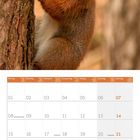 Kalender für März 2027, zeigt ein Eichhörnchen an einem Baum, Kalendertage und Feiertage wie St. Patrick's Day und Ostersonntag.