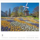 Herbertusmühle, Stadt Bremen, Bremen. Kalenderansicht März. Farbiges Blumenfeld, Windmühle im Hintergrund unter blauem Himmel.
