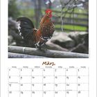 Kalenderseite mit März, Internationaler Frauentag am 8., Frühlingsanfang am 20., Ostern am 27. Hahn auf einem Zaun.