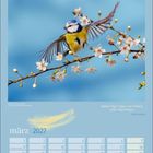 Text: "Zahme Vögel singen von Freiheit, wilde Vögel fliegen. John Lennon. März 2027." 
Illustration: Blaumeise auf Blütenzweig.