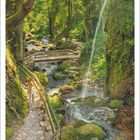 Menzenschwander Wasserfälle, St. Blasien, Baden-Württemberg. Ein Waldweg mit Geländer führt an einem plätschernden Wasserfall vorbei.