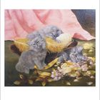 "Loise Chivet (1866-1929) - Siames, Frankreich um 1900." Drei graue Kätzchen auf einem gelben Strohbett mit rosa Blüten.