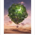 Eine Illustration zeigt einen schwebenden Baum mit einem Haus daran; im Baum hängt ein leuchtender Halbmond. Kalenderseite „3“.