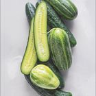 „März“ und Kalenderdaten unten; grüne Gurken liegen übereinander, eine längs aufgeschnitten.