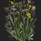 Zahlen von 1 bis 31 unten. Verschiedene bunte Blumen und Blätter auf schwarzem Hintergrund.