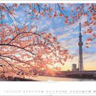 Der Text zeigt eine Monatsübersicht für März. Kirschenblüten vor einem Turm im Sonnenuntergang. Im Hintergrund ist ein Fluss.