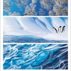 Augustkalender mit Pinguinen auf Schnee, Eisstrukturen und einer Schneelandschaft mit Bäumen unter blauem Himmel.