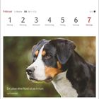 Kalender für Februar mit einem Hundebild. Zitat: "Ein Leben ohne Hund ist ein Irrtum." - Carl Zuckmayer.