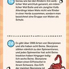 1a: Wale wie Rinder benannt, Gruppe heißt Schule. 2d: Skorpione mit 8 Beinen, giftig aber meist harmlos für Menschen. Illustration.