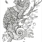 Kein Text vorhanden. Eine detaillierte Illustration eines Chamäleons auf einem Ast, umgeben von Mustern und einer kleinen Libelle.