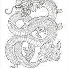 Keine Texte sichtbar. Eine detaillierte schwarz-weiße Illustration eines geschwungenen, majestätischen Drachen.