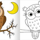 Illustration einer Eule auf einem Ast, links farbig, rechts schwarz-weiß, mit Mond im Hintergrund.