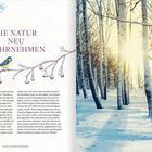 DIE NATUR NEU WAHRNEHMEN. Links: Vogel auf Zweig, blauer Hintergrund. Rechts: Winterwald mit Sonnenlicht durch Bäume.