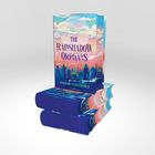 Titel: The Rainshadow Orphans, Roman, Naomi Ishiguro. Buchcover in lebhaften Farben mit Stadtlandschaft.