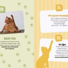20. Mache Yoga - Katze in Yoga-Pose. 21. Hör auf dein Bauchgefühl. 22. Sei offen - Silhouette einer Katze.
