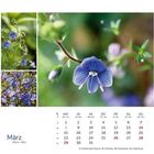 März-Kalender: Blaue Blumen, Montag bis Sonntag, Internationaler Frauentag am 8., Karfreitag am 26., Ostersonntag am 28.