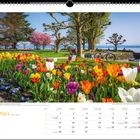 März. Kalenderseite mit bunten Tulpen, Bäumen und einem Fahrrad am Seeufer; Menschen entspannen im Park.