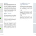 BLUMEN, KLEINE BLUMEN, LANGSTIELIGE BLUMEN. Leitfaden zum Malen mit farbigen Tupfern. Illustrationen zeigen Blüten.