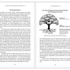 Ein Baumdiagramm zeigt Resilienz-Wurzeln wie Optimismus, Akzeptanz und Selbstwirksamkeit. Baumkrone: "Ziele des Resilienztrainings". Kapitel über Resilienz.