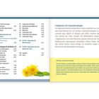 Frühjahrskur mit Löwenzahnstängeln. Kräuterkundige Maria Treben empfiehlt eine Kur mit frischen Löwenzahnstängeln.