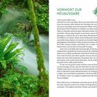 Vorwort zur Neuausgabe. Dichte Pflanzen umgeben einen fließenden Bach in einem grünen, moosbedeckten Wald.