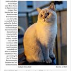 ARCHÄOLOGIE: Dünger aus Ägypten. Geschichte über Katzenmumien. Foto von Katze "Puschi", Datum: 30. November 2027.