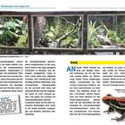Texte: „Natürlich eingerichtete Aufzuchtterrarien“, „Danke“, „Wussten Sie schon?“. 

Oben sind drei Terrarien mit Pflanzen. 
Unten ein farbiger Frosch.
