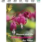Text: "Blumen sind die Liebesgedanken der Natur. Bettine von Arnim." Kalenderdaten und Herzenblumen im Hintergrund.