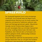 Text: „SPREEWALD. Der Spreewald begeistert durch seine einzigartige Landschaft...“

Beschreibung: Ein rotes Kanu gleitet durch einen von Bäumen gesäumten Fluss.