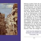 BLICK AUS DER GRIMMSCHEN WOHNUNG IN DIE MARKTGASSE VON KASSEL, 1842. Illustration einer historischen Straßenszene.