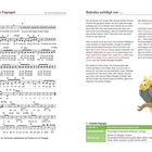 Lied Nr. 1, Stufe 1, Familie Papagei. Beschreibt Papageien, ihre Familie. Illustration: Vier Papageien auf einem Ast.