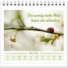 "Ein wenig mehr Rizz kann nie schaden." Kalenderseite März 2027, blühender Zweig mit Marienkäfer.