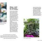 Blüten – duftige Fülle nicht nur im Frühjahr. Beschreibung von Pflanzen und Bäumen, ihre Blütezeit und Pflegehinweise.