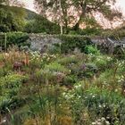 Es gibt keine Texte. Eine grüne Gartenlandschaft mit verschiedenen blühenden Pflanzen, einer Steinmauer und einer Holzbank.