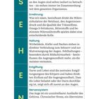 S: Systemisch, E: Ernährung, H: Haltung, E: Entgiftung, N: Nervensystem. Vertikaler Text erklärt den Einfluss auf die Augengesundheit.