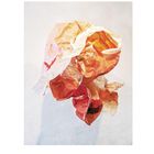 "Das ganze Leben 67", Illustration von zerknittertem Papier in Orange- und Rottönen, schwebend im Raum.