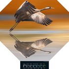 "März 2027, Montag bis Sonntag, Kalender mit fliegendem Kranich vor orangefarbenem Hintergrund und Spiegelung im Wasser."