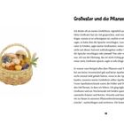 „Großvater und die Pflanzen“. Ein Text über die Erinnerungen an den Großvater. Illustration eines Korbes mit Pilzen und Beeren.