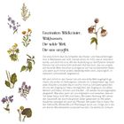 "Faszination Wildkräuter. Waldsassen. Die wilde Welt, die uns umgibt." Text und botanische Illustrationen verschiedener Kräuter.