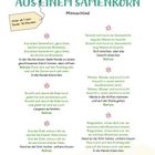 "Aus einem Samenkorn" Mitmachlied, ab 1 Jahr. Anweisungen zum Nachmachen von Pflanzenwachstum. Enthält Refrain und Bewegungsanleitungen.